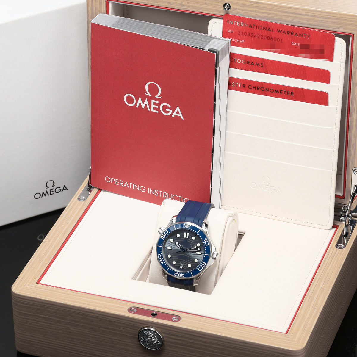 Omega Seamaster 2025 Complete 42mm Stainless Steel Grey Wave Dial Blue Ceramic Unidirectional Bezel Blue Rubber Strap 210.32.42.20.06.001