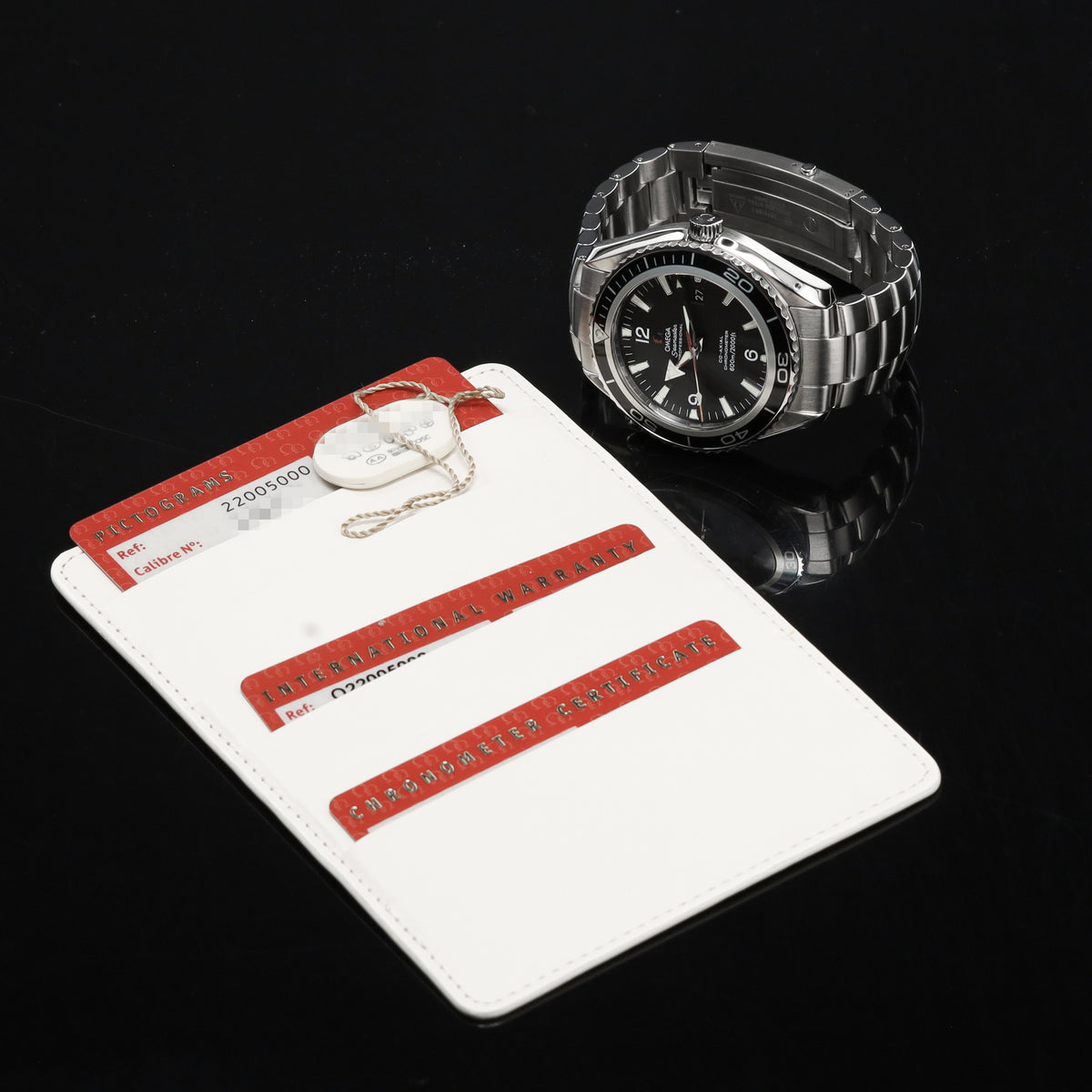 Omega Seamaster 45.5mm Stainless Steel Black Dial Black Aluminum Bezel Stainless Steel Bracelet 22005000