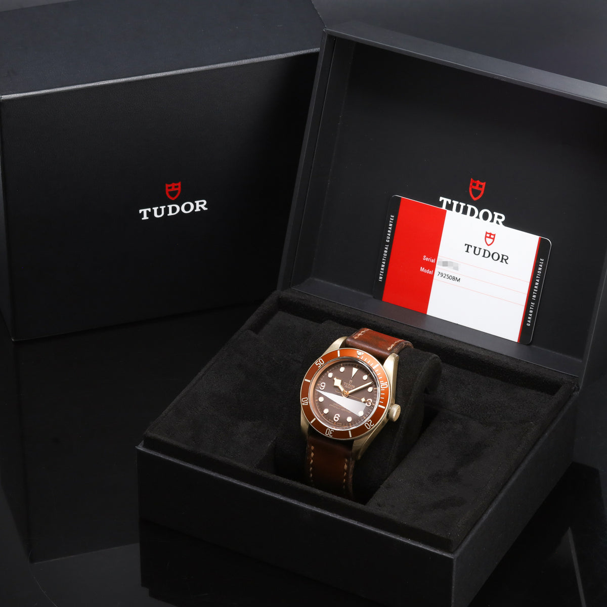Tudor Black Bay 43mm Bronze Dark Brown/Black Dial Bronze Bezel Leather Strap 79250BM